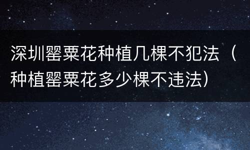 深圳罂粟花种植几棵不犯法（种植罂粟花多少棵不违法）