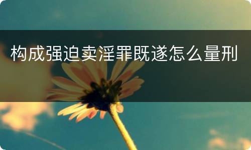 构成强迫卖淫罪既遂怎么量刑