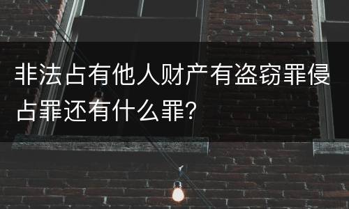 非法占有他人财产有盗窃罪侵占罪还有什么罪？