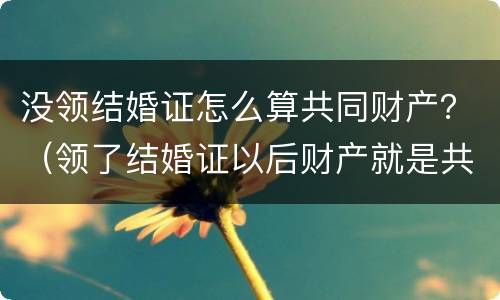 没领结婚证怎么算共同财产？（领了结婚证以后财产就是共有的吗）