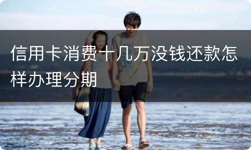 信用卡消费十几万没钱还款怎样办理分期