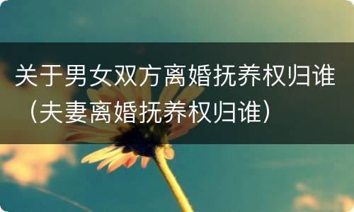 关于男女双方离婚抚养权归谁（夫妻离婚抚养权归谁）