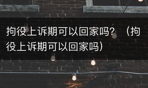 拘役上诉期可以回家吗？（拘役上诉期可以回家吗）