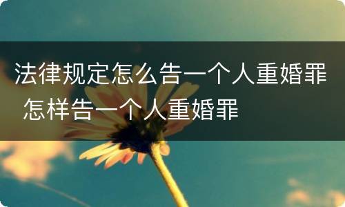 法律规定怎么告一个人重婚罪 怎样告一个人重婚罪