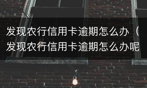 发现农行信用卡逾期怎么办（发现农行信用卡逾期怎么办呢）