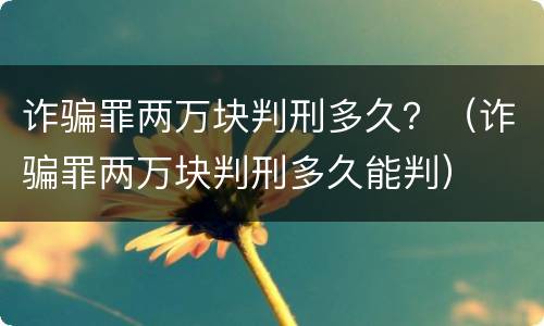 诈骗罪两万块判刑多久？（诈骗罪两万块判刑多久能判）