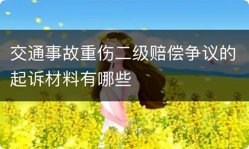 交通事故重伤二级赔偿争议的起诉材料有哪些