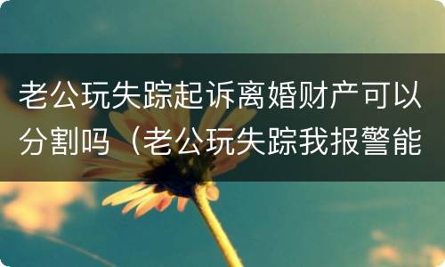 老公玩失踪起诉离婚财产可以分割吗（老公玩失踪我报警能怎么处理这事）