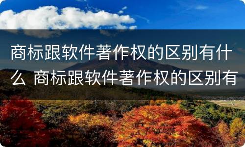 商标跟软件著作权的区别有什么 商标跟软件著作权的区别有什么意义