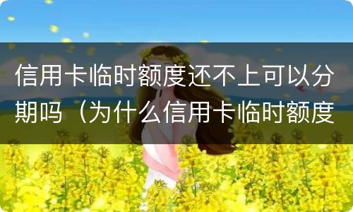 信用卡临时额度还不上可以分期吗（为什么信用卡临时额度不能分期）