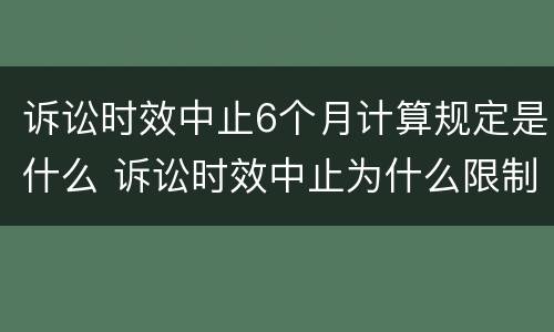 诉讼时效中止6个月计算规定是什么 诉讼时效中止为什么限制最后六个月