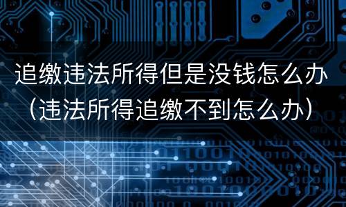 追缴违法所得但是没钱怎么办（违法所得追缴不到怎么办）