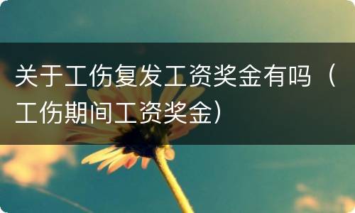 关于工伤复发工资奖金有吗（工伤期间工资奖金）