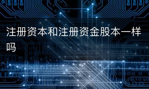 注册资本和注册资金股本一样吗