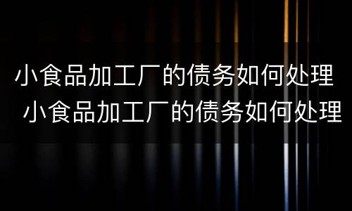 小食品加工厂的债务如何处理 小食品加工厂的债务如何处理好