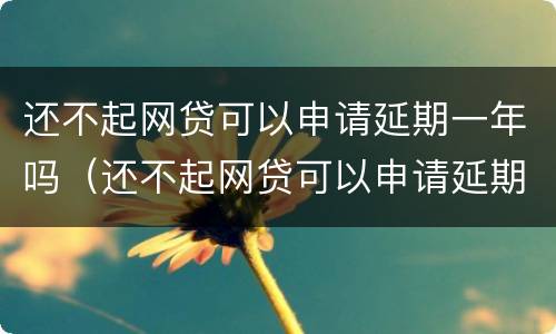 还不起网贷可以申请延期一年吗（还不起网贷可以申请延期一年吗）