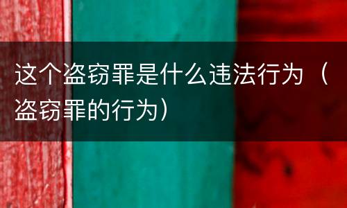 这个盗窃罪是什么违法行为（盗窃罪的行为）