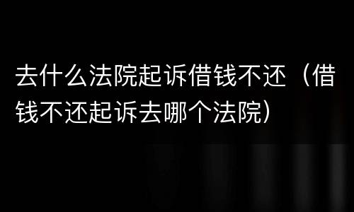 去什么法院起诉借钱不还（借钱不还起诉去哪个法院）