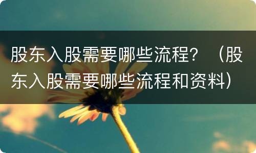 股东入股需要哪些流程？（股东入股需要哪些流程和资料）