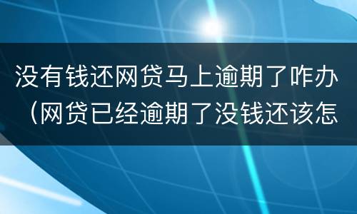 没有钱还网贷马上逾期了咋办（网贷已经逾期了没钱还该怎么办）