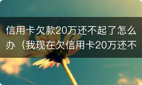 信用卡欠款20万还不起了怎么办（我现在欠信用卡20万还不起了怎么办）