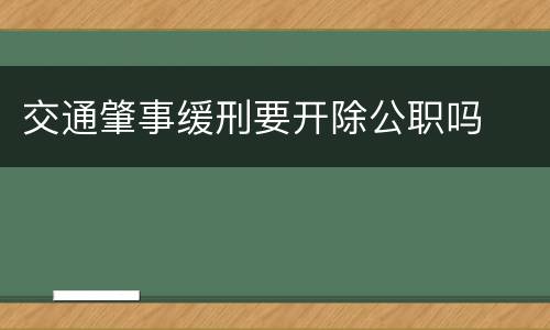 交通肇事缓刑要开除公职吗