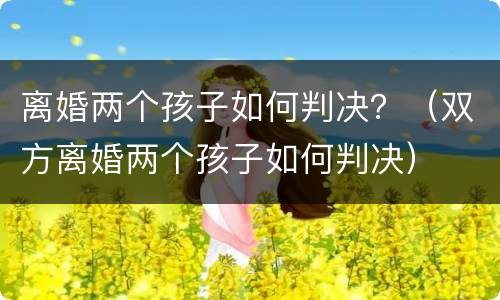 离婚两个孩子如何判决？（双方离婚两个孩子如何判决）