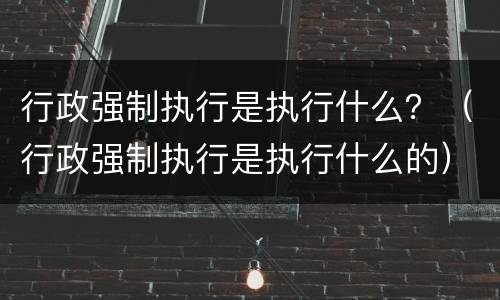 行政强制执行是执行什么？（行政强制执行是执行什么的）