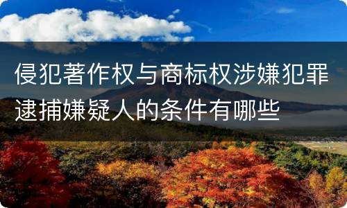 侵犯著作权与商标权涉嫌犯罪逮捕嫌疑人的条件有哪些