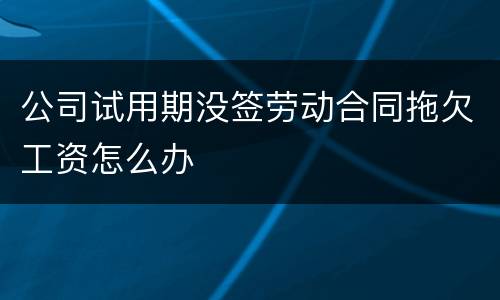 公司试用期没签劳动合同拖欠工资怎么办
