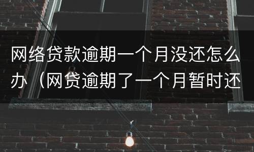 网络贷款逾期一个月没还怎么办（网贷逾期了一个月暂时还不上怎么办）