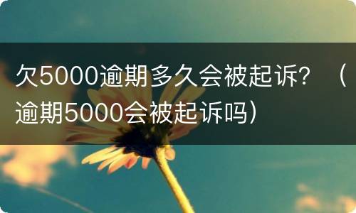 欠5000逾期多久会被起诉？（逾期5000会被起诉吗）