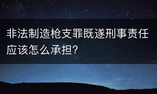 非法制造枪支罪既遂刑事责任应该怎么承担?