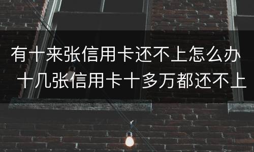 有十来张信用卡还不上怎么办 十几张信用卡十多万都还不上 怎么办