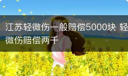 江苏轻微伤一般赔偿5000块 轻微伤赔偿两千