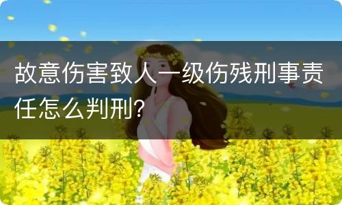 故意伤害致人一级伤残刑事责任怎么判刑？