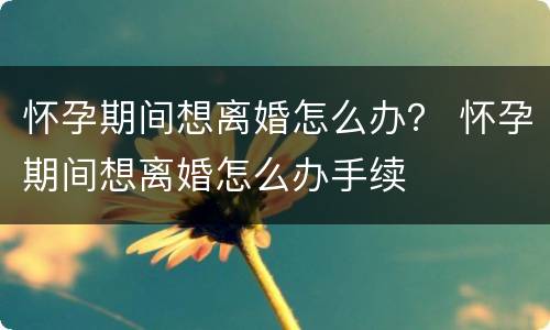 怀孕期间想离婚怎么办？ 怀孕期间想离婚怎么办手续