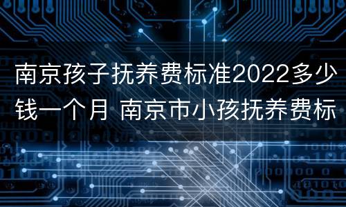 南京孩子抚养费标准2022多少钱一个月 南京市小孩抚养费标准