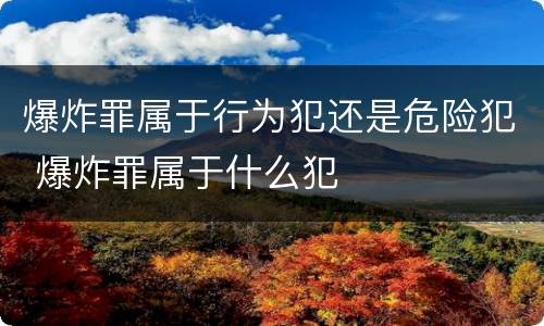 爆炸罪属于行为犯还是危险犯 爆炸罪属于什么犯
