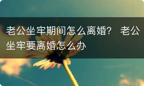 老公坐牢期间怎么离婚？ 老公坐牢要离婚怎么办