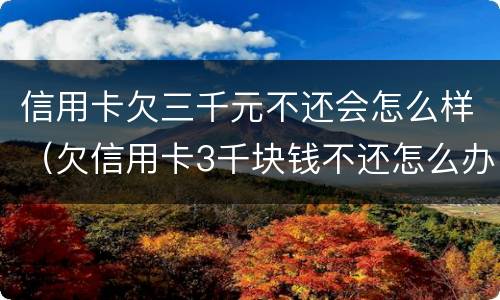 信用卡欠三千元不还会怎么样（欠信用卡3千块钱不还怎么办）
