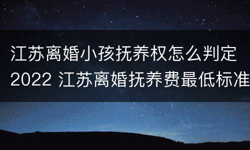 江苏离婚小孩抚养权怎么判定2022 江苏离婚抚养费最低标准