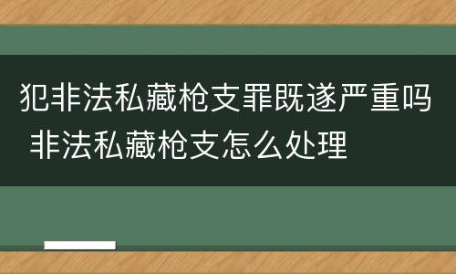 犯非法私藏枪支罪既遂严重吗 非法私藏枪支怎么处理