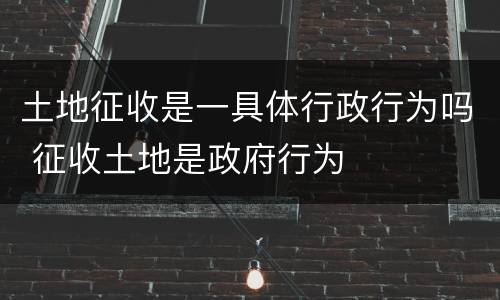 土地征收是一具体行政行为吗 征收土地是政府行为