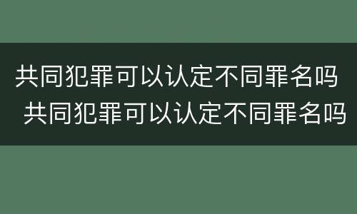 共同犯罪可以认定不同罪名吗 共同犯罪可以认定不同罪名吗判几年