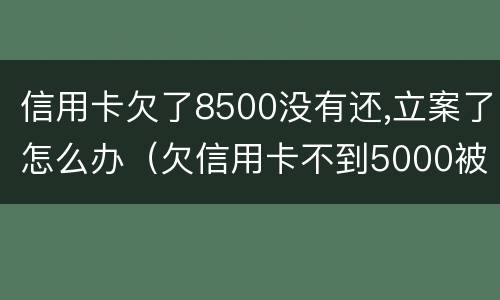 信用卡欠了8500没有还,立案了怎么办（欠信用卡不到5000被起诉了）