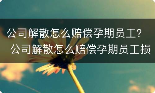 公司解散怎么赔偿孕期员工？ 公司解散怎么赔偿孕期员工损失