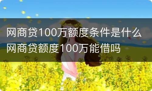 网商贷100万额度条件是什么 网商贷额度100万能借吗