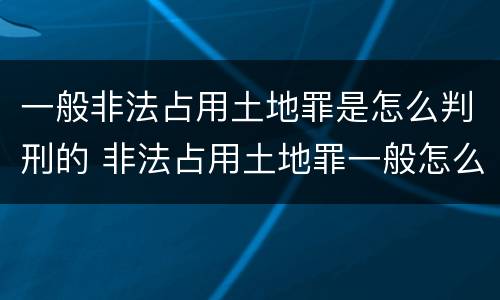 一般非法占用土地罪是怎么判刑的 非法占用土地罪一般怎么判决