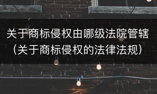 关于商标侵权由哪级法院管辖（关于商标侵权的法律法规）